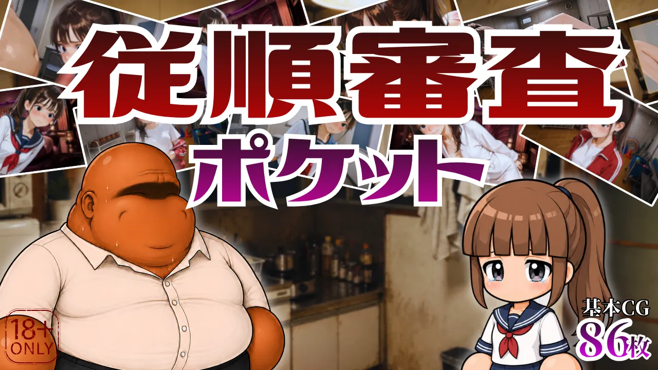 従順審査ポケット cover